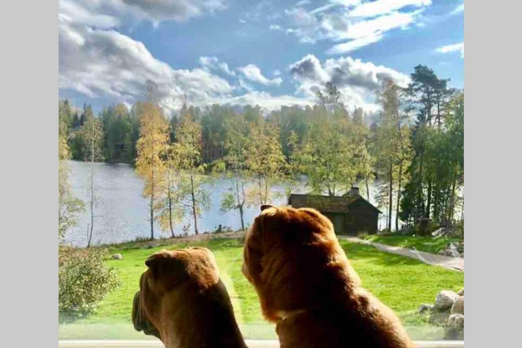 Yksio Jarvenrannalla Espoossa Appartement Buitenkant foto
